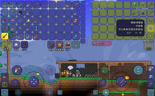 泰拉瑞亚怎么收藏背包中的物品 泰拉瑞亚怎么收藏背包中的物品