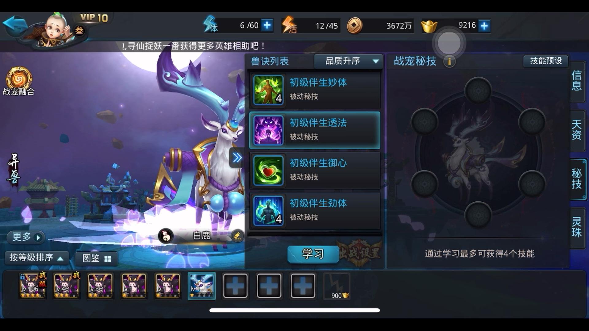 乱斗西游宠物怎么加潜能