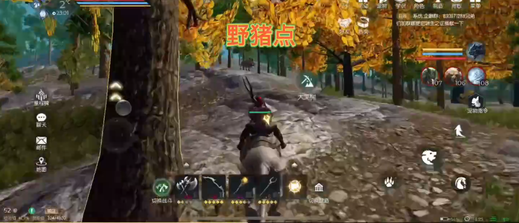 黑暗与光明野猪吃什么东西