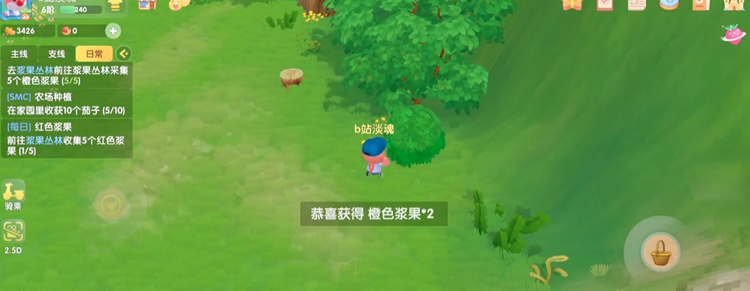 摩尔庄园浆果丛林又有什么