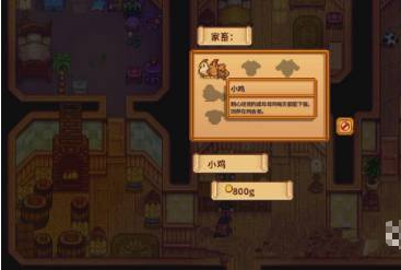 星露谷物语要怎么养鸡