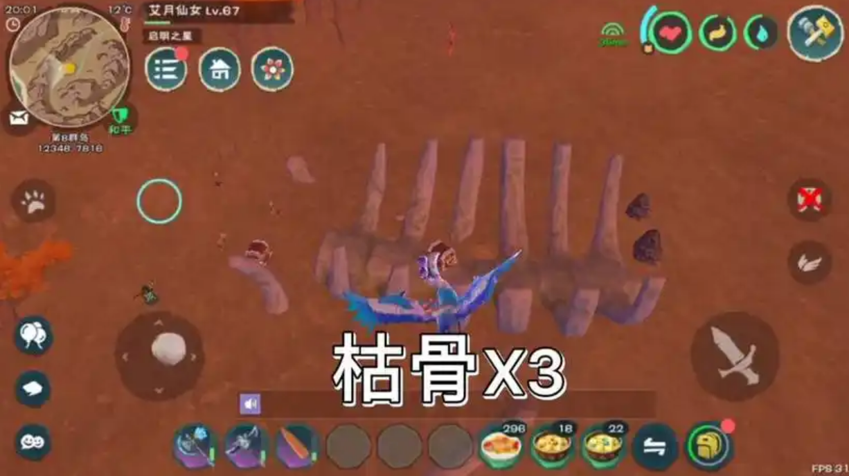 创造与魔法陆行鸟怎么抓