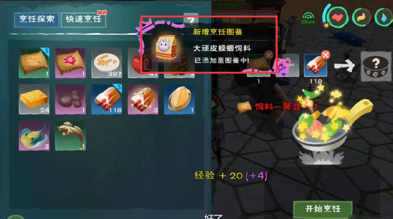 创造与魔法蝾螈在哪