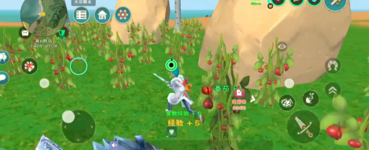 创造与魔法西红柿在哪