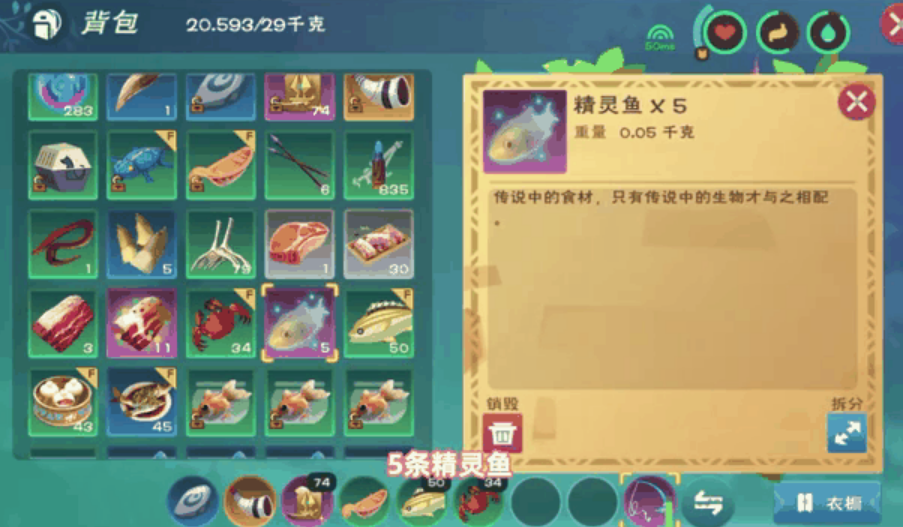 创造与魔法哪里钓精灵鱼