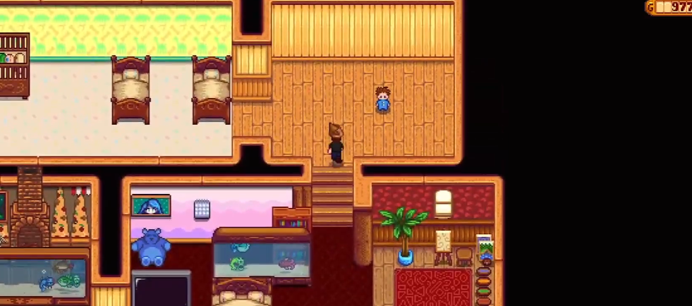 星露谷物语孩子长大了什么样子