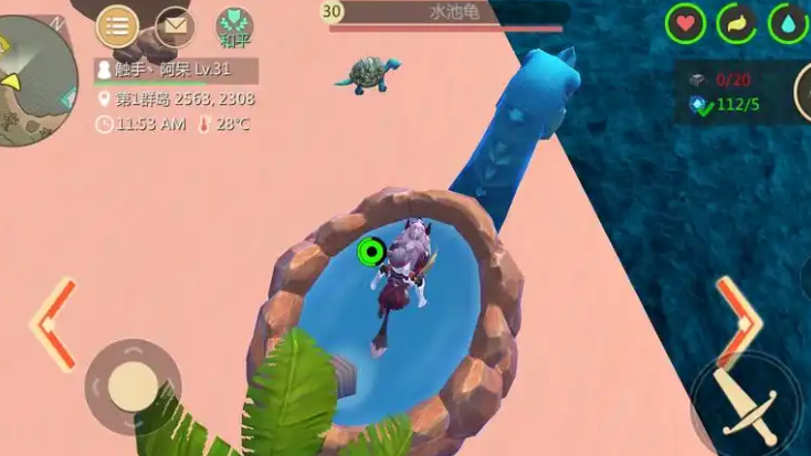 创造与魔法水池龟有什么用