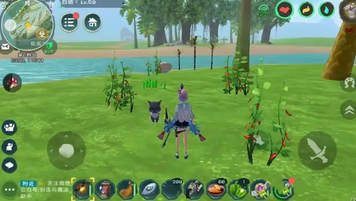 创造与魔法辣椒分布在哪里最多