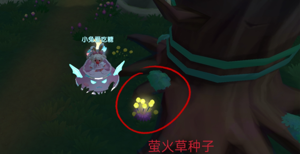 摩尔庄园怎么抓萤火草 摩尔庄园怎么抓萤火草