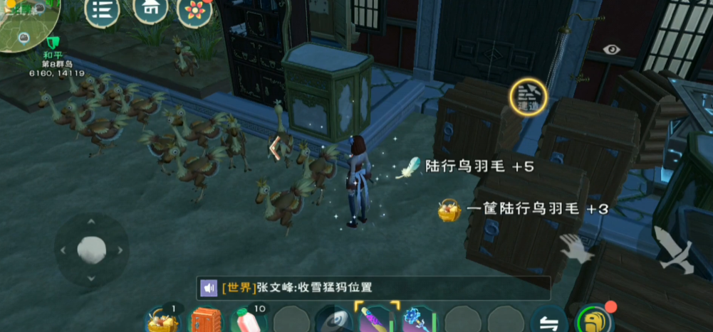 创造与魔法陆行鸟羽毛有什么用 创造与魔法陆行鸟羽毛有什么用