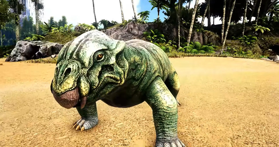 方舟生存进化抓龙顺序是什么 方舟生存进化抓龙顺序是什么