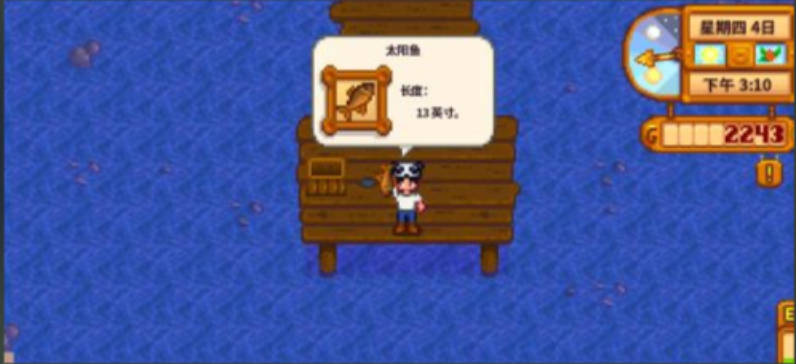 星露谷物语太阳鱼怎么钓