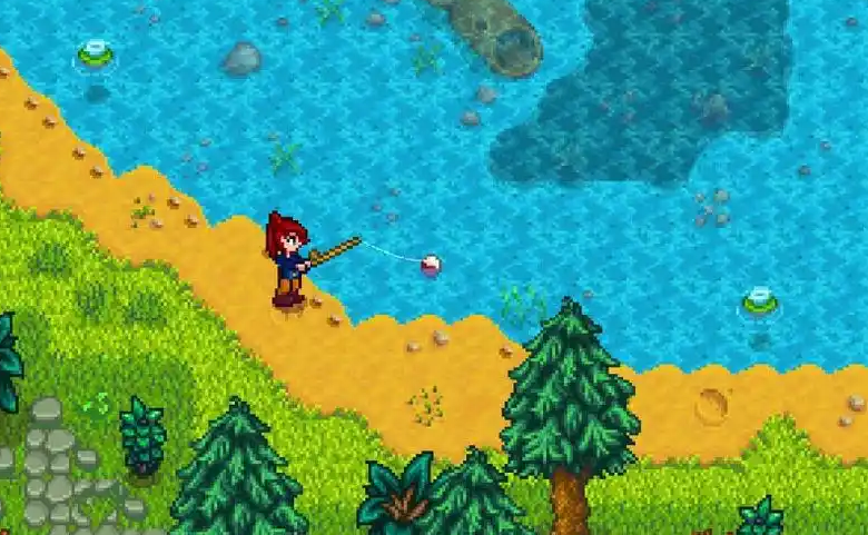 星露谷物语太阳鱼怎么钓