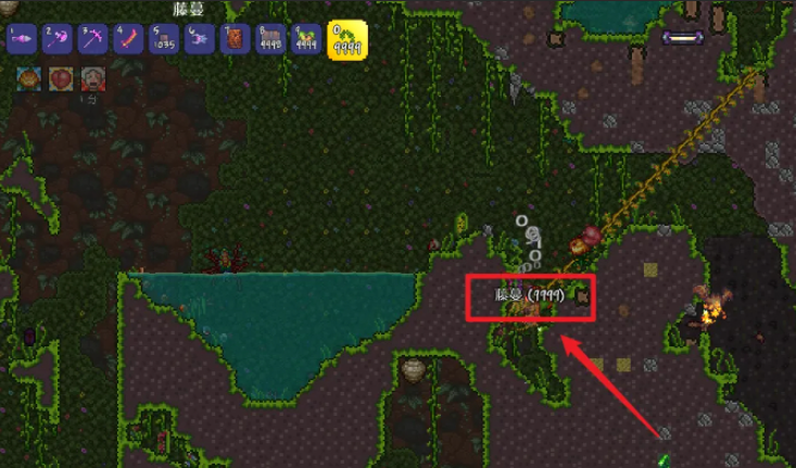 泰拉瑞亚藤蔓怎么获得