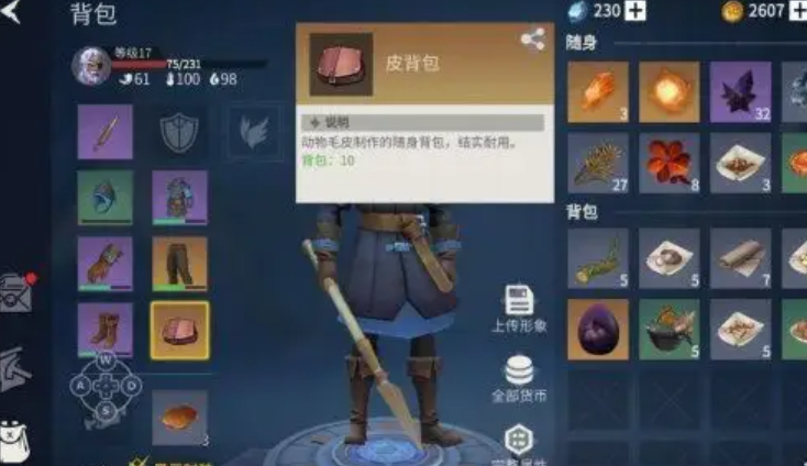 冰原守卫者皮背包怎么升级