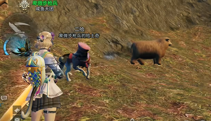 明日之后哪里动物最多