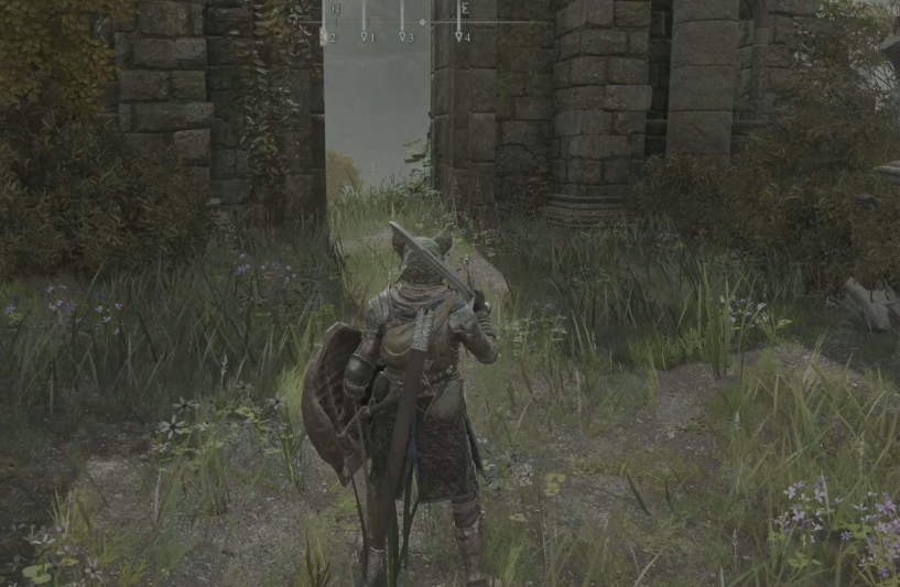 艾尔登法环流浪骑士怎么加点