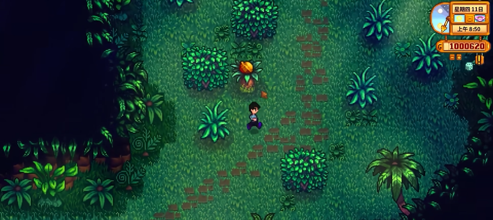 星露谷物语姜岛金核桃怎么获得