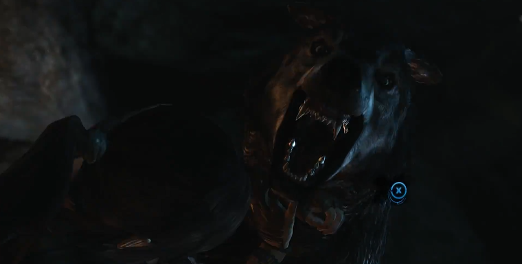 古墓丽影狼洞怎么过